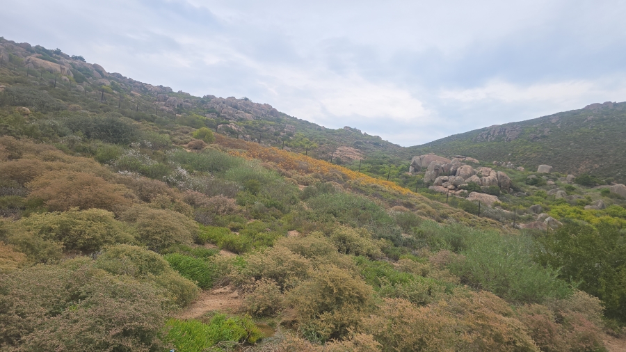 0 Bedroom Property for Sale in St Helena Views Western Cape